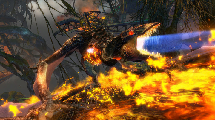 Guild-Wars2-HoT-Wyvern-Burning-Chest